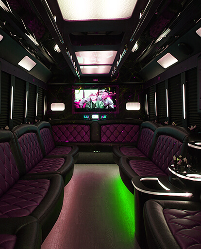 30 passenger party bus