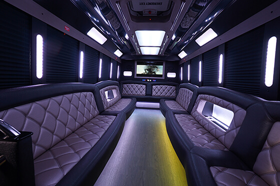 28 passenger limo bus seating